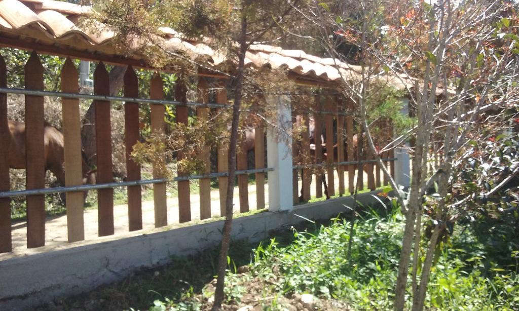 Hostal Altos Del Magdalena San Agustín Exterior foto